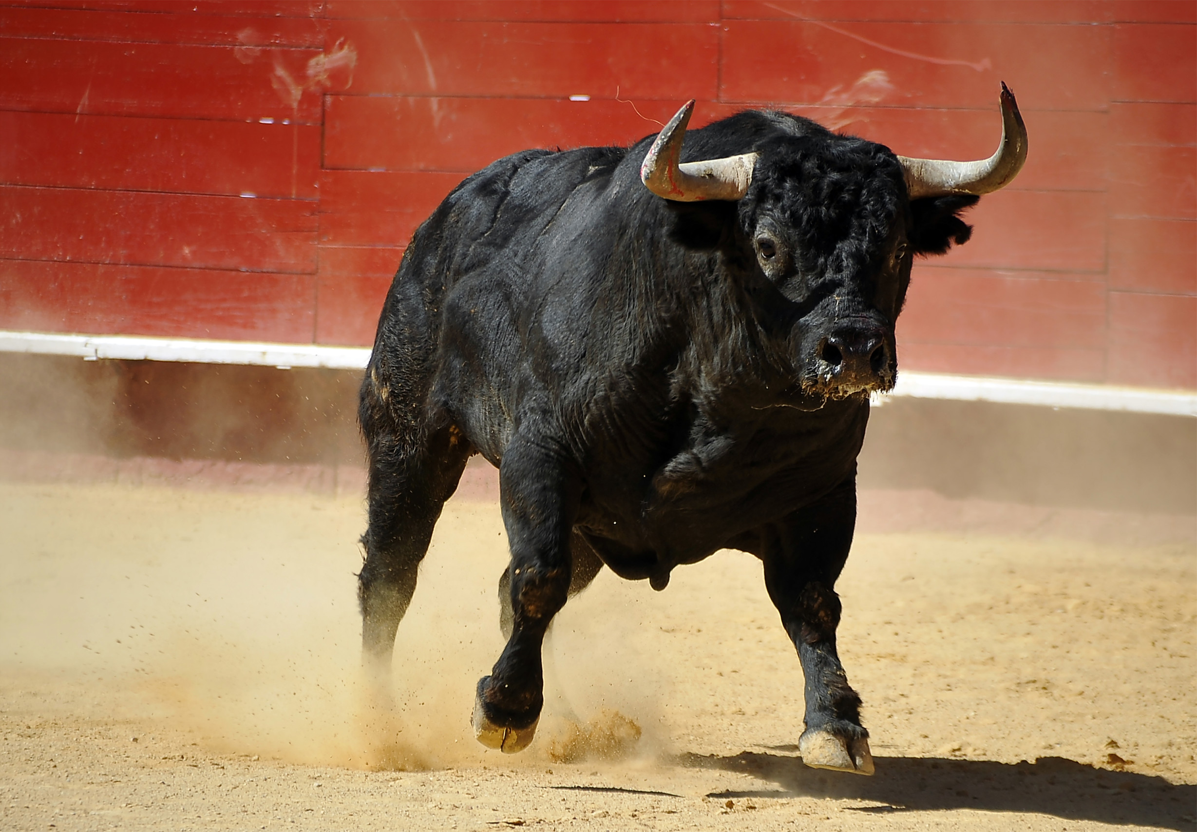 Mexico City keeps bullfighting
