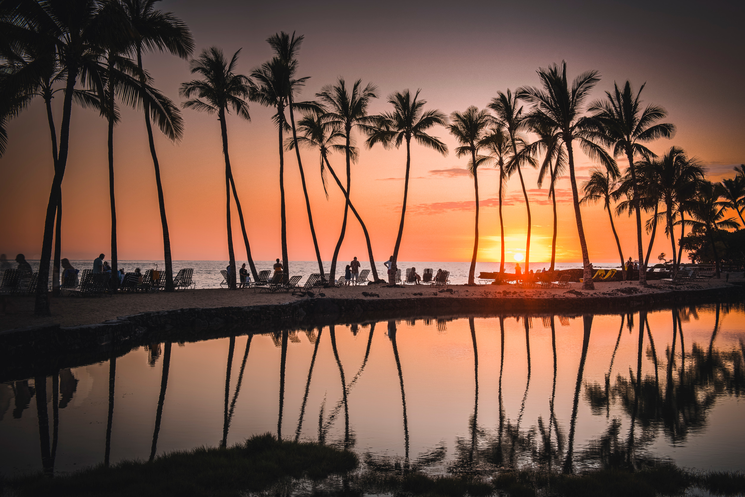 Hawaii’s new ‘Gree