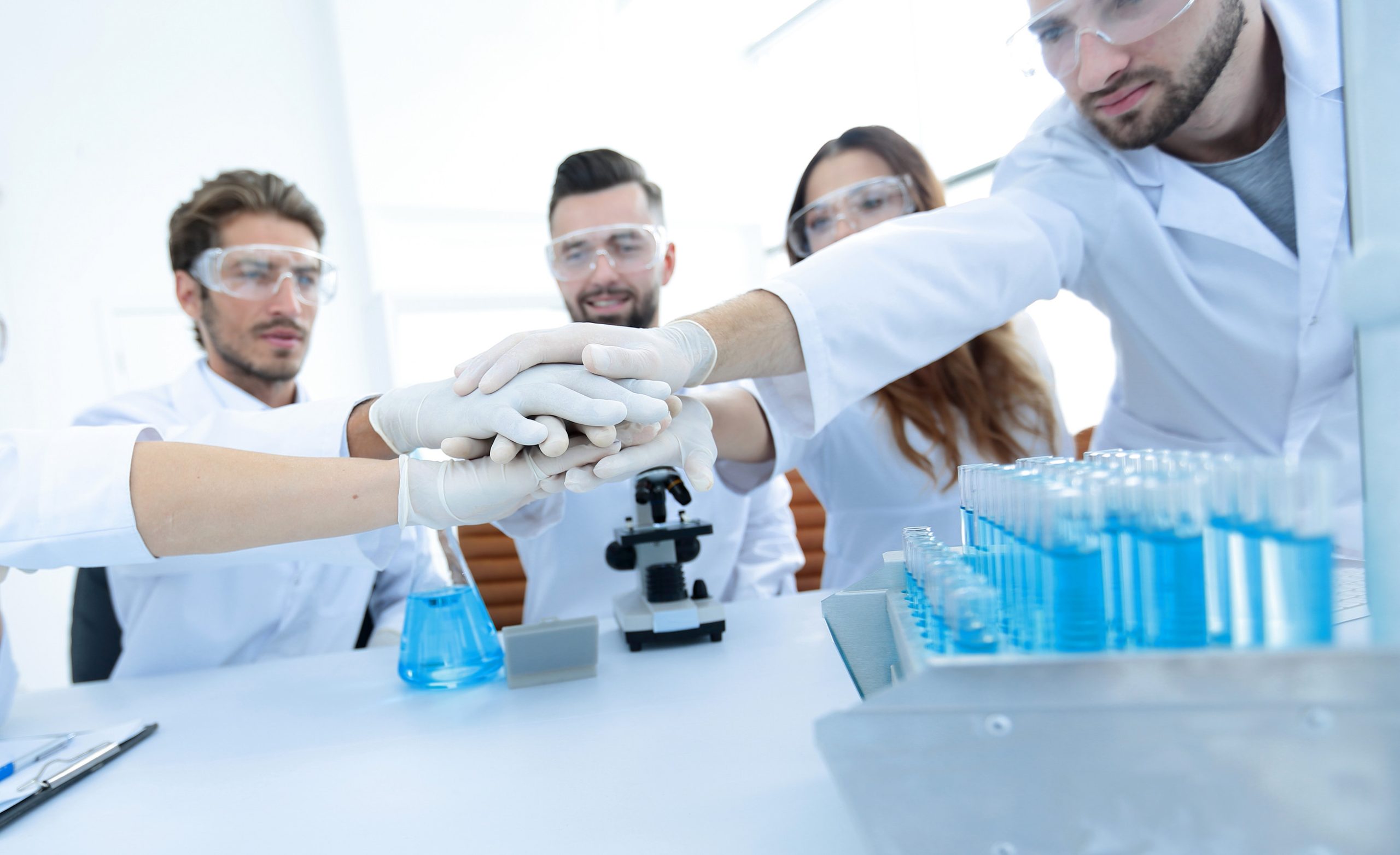 Scientific societies take char